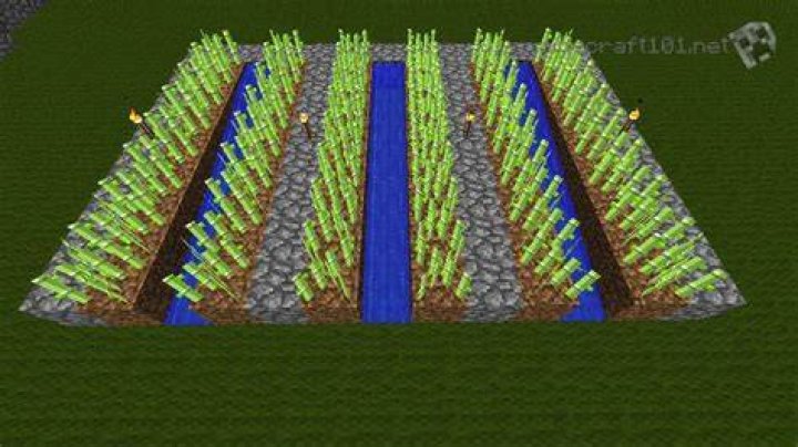 How do i plant sugarcane in minecraft