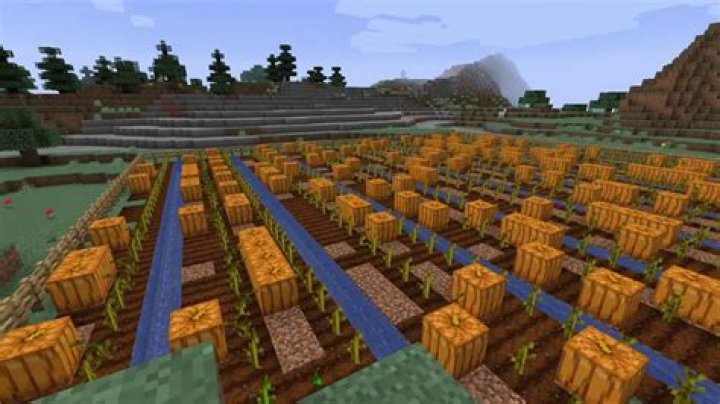 How do you grow pumpkins in minecraft
