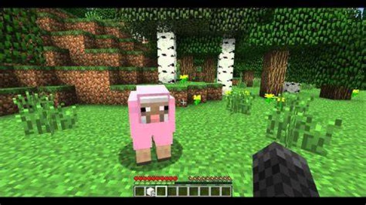 How do you tame sheep in minecraft