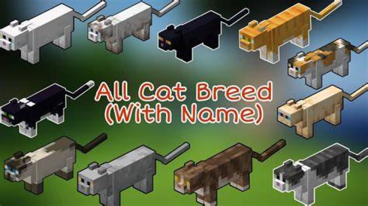How to breed cats in minecraft 1.14
