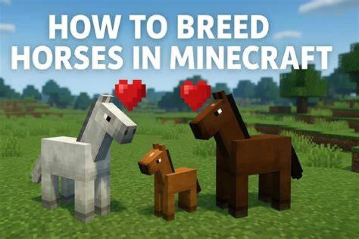 How to breed horses in minecraft 1.13