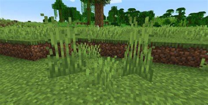 How to get tall grass in minecraft