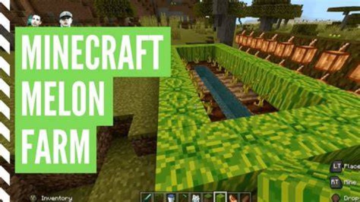 How to make melons grow in minecraft