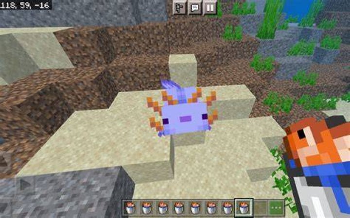 How to summon blue axolotl minecraft pe