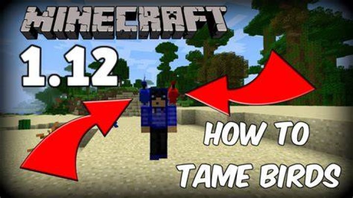 How to tame parrots in minecraft 1.12