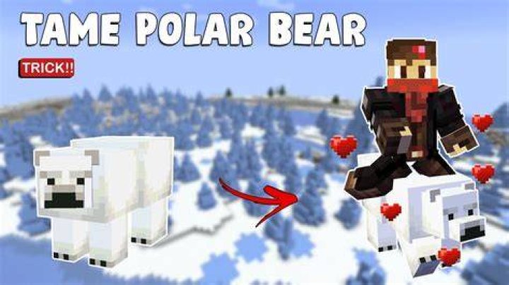 How to tame polar bear in minecraft