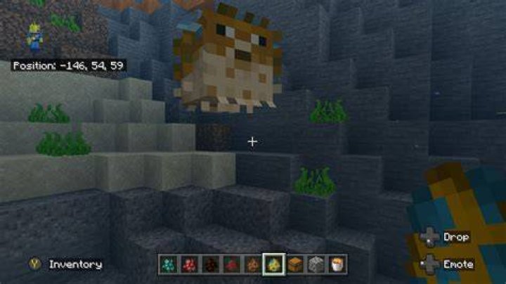 What do puffer fish do in minecraft