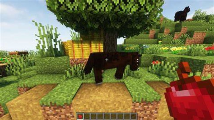 What do the horses eat in minecraft