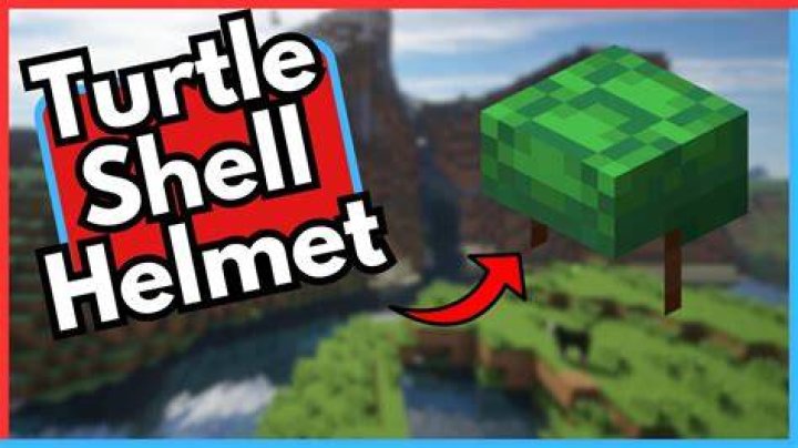 What do turtle helmets do in minecraft