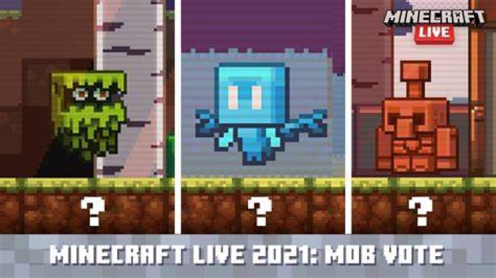What won the minecraft mob vote 2021