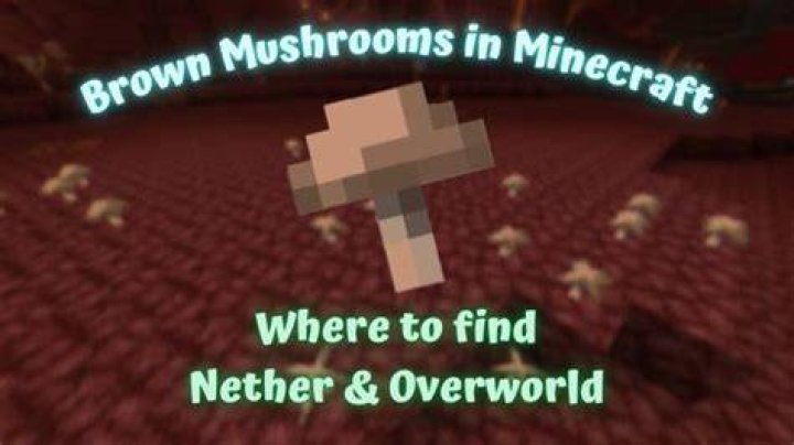 Where do you find mushrooms in minecraft