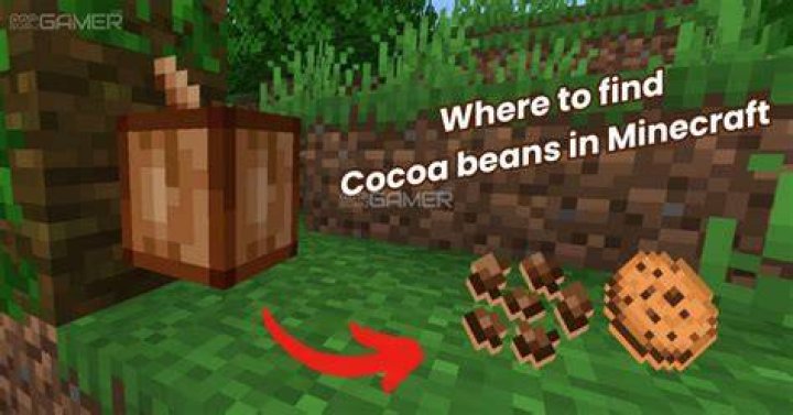 Where to get cocoa beans in minecraft